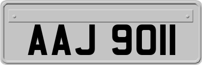 AAJ9011