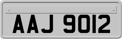 AAJ9012