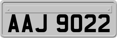 AAJ9022