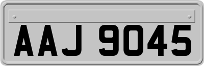 AAJ9045