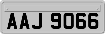 AAJ9066