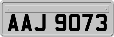 AAJ9073