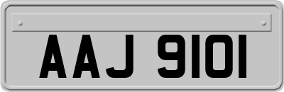 AAJ9101