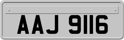 AAJ9116