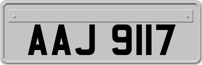 AAJ9117