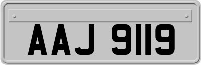 AAJ9119