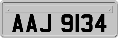 AAJ9134