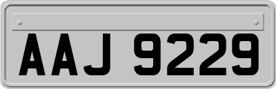 AAJ9229