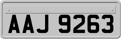 AAJ9263