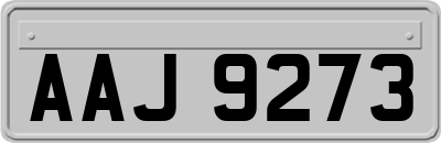 AAJ9273