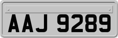 AAJ9289