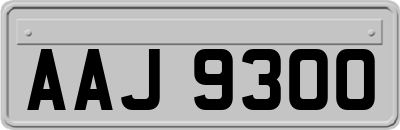 AAJ9300