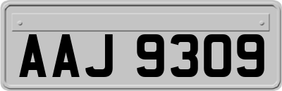 AAJ9309