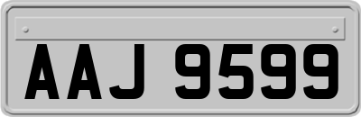 AAJ9599