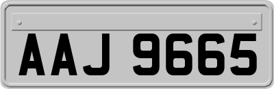 AAJ9665