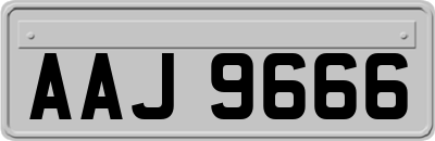 AAJ9666