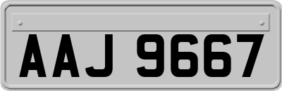 AAJ9667