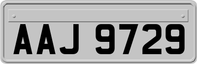 AAJ9729