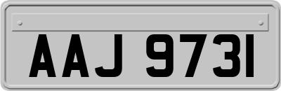 AAJ9731