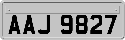 AAJ9827