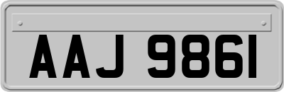 AAJ9861