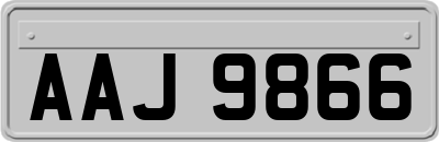 AAJ9866