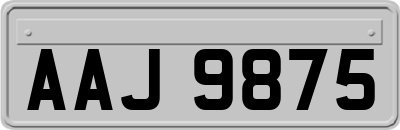 AAJ9875