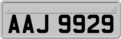 AAJ9929