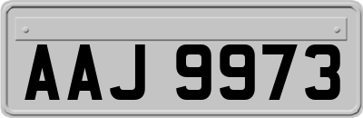 AAJ9973