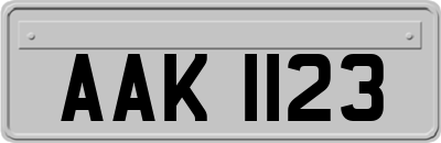 AAK1123