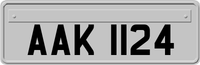 AAK1124