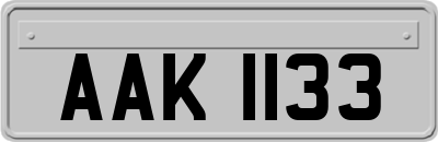 AAK1133