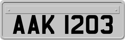 AAK1203