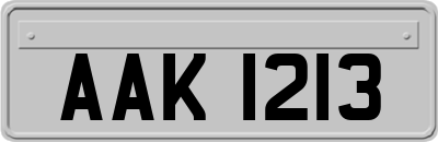 AAK1213