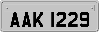 AAK1229