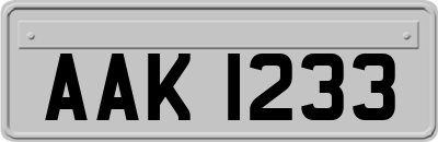 AAK1233