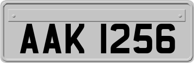 AAK1256