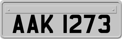 AAK1273