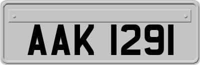 AAK1291