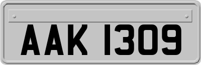 AAK1309