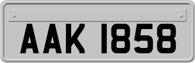 AAK1858