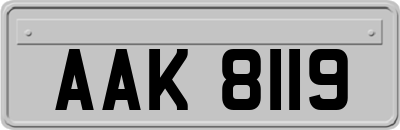 AAK8119