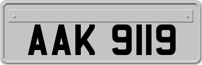 AAK9119