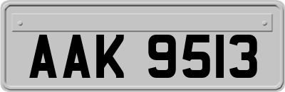 AAK9513