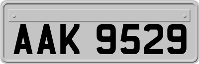 AAK9529