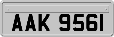 AAK9561