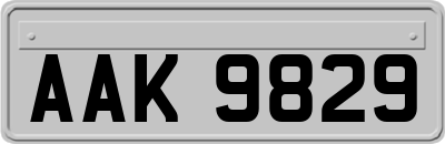 AAK9829