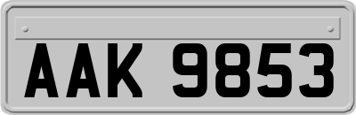 AAK9853