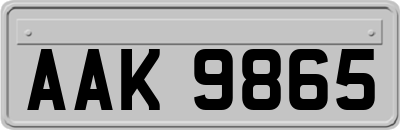 AAK9865