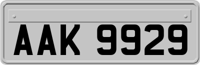 AAK9929